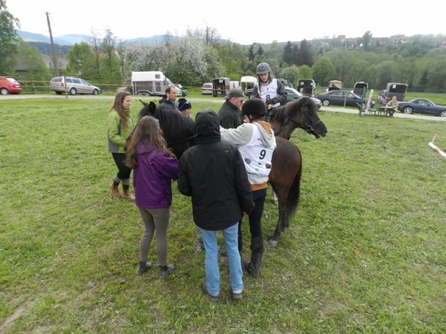Rajd Mszana Górna 2015